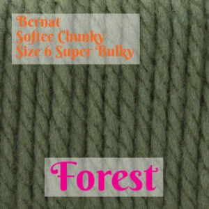 Bernat softee chunky online yarn forest